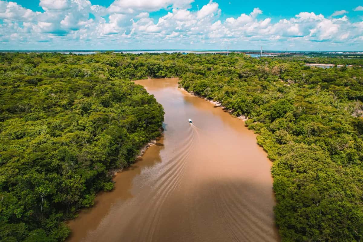 Forêt amazonienne de Colombie, rivière et canopée tropicale