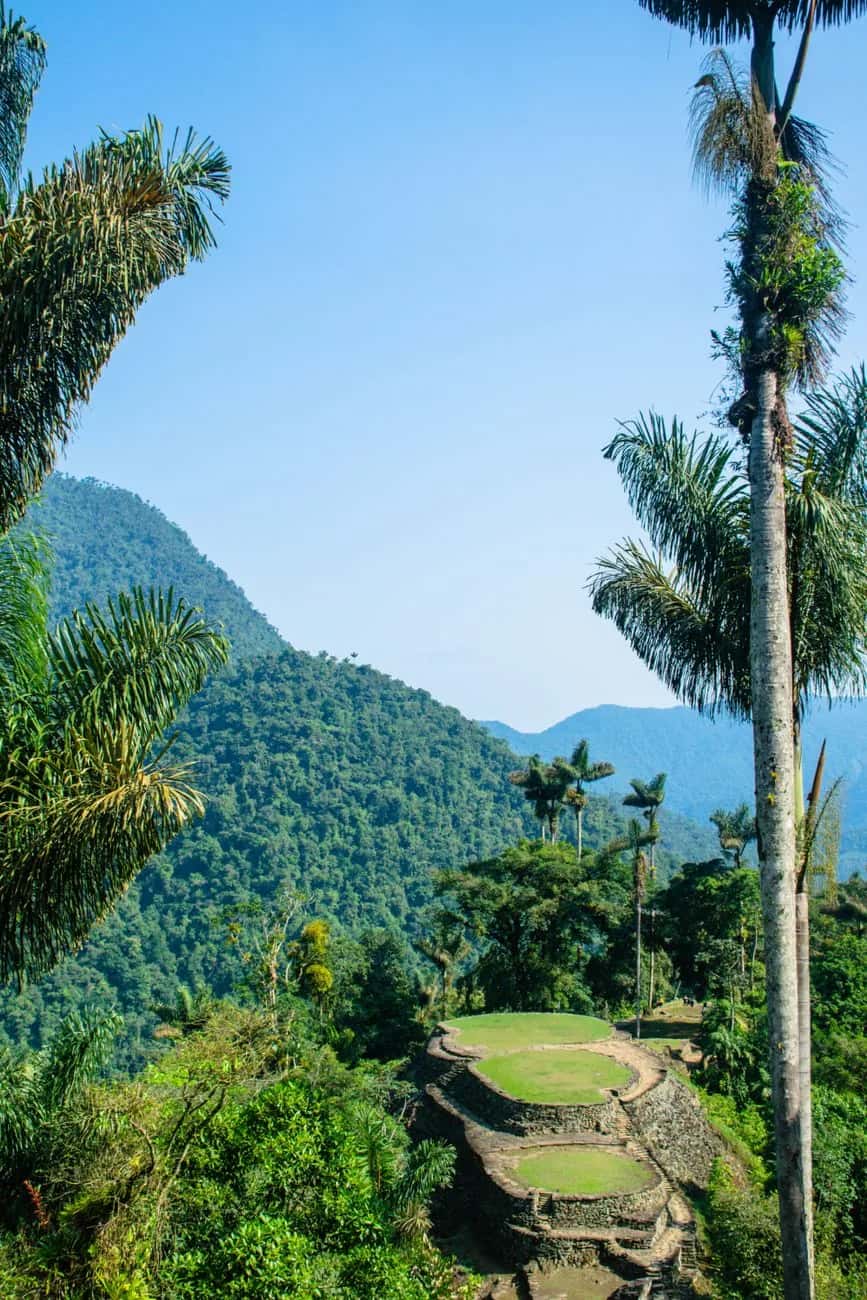 Terrasses vertes de la Ciudad Perdida au sommet d'une crête de la jungle, Colombie