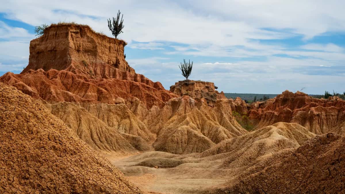 La zone rouge (El Cusco) du désert de la Tatacoa, formations ocre érodées et cactus, Huila, Colombie