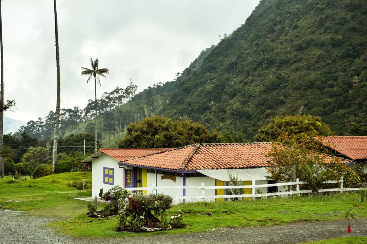 Finca de café traditionnelle du Quindío entourée de collines vertes et de palmiers à cire, Colombie
