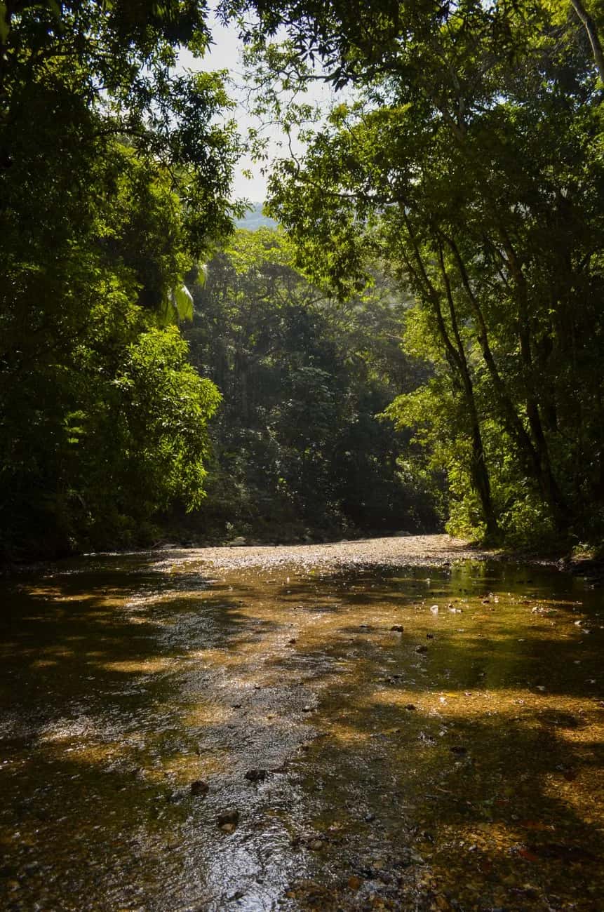 Rivière et jungle luxuriante de la Sierra Nevada près de Minca, au-dessus de Santa Marta en Colombie